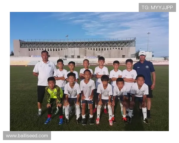 武汉足球队加速转型探索新篇章引发热议与期待