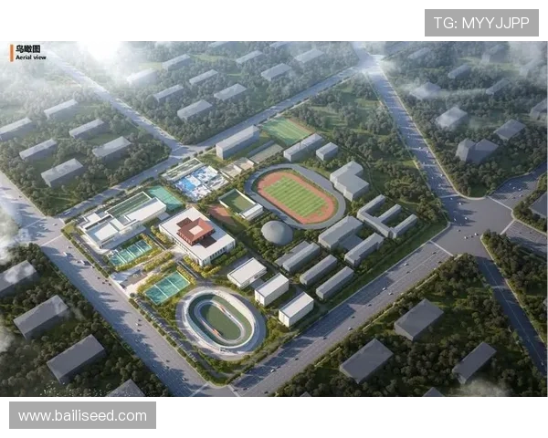 南京排球队速度表现分析与提升策略研究报告